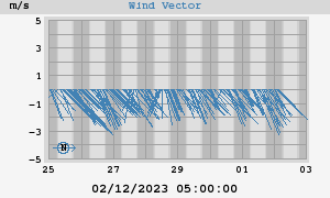 Wind Vector