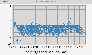 Wind Vector