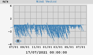 Wind Vector