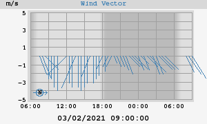 Wind Vector