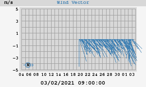 Wind Vector