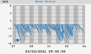 Wind Vector