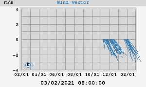 Wind Vector